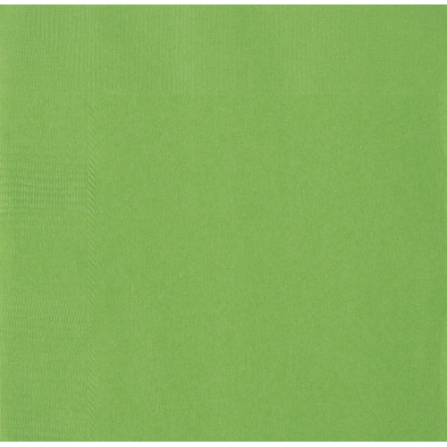 50 servilletas verde lima (33x33 cm) - L&iacute;nea Colores B&aacute;sicos