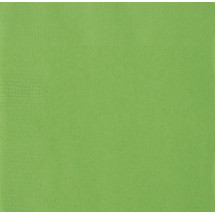 50 servilletas verde lima (33x33 cm) - Línea Colores Básicos