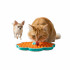 All For Paws Calming Pals Comedero Lamer para perros y gatos