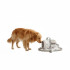 All For Paws Pet Salon Kit Cuidado para perros y gatos