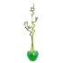 Bambusa Lucky Espiral 60cm