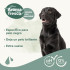 Beaphar Pelo Negro Champ&uacute; para perros