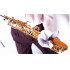 BG A30L PA&Ntilde;UELO SAXO TENOR