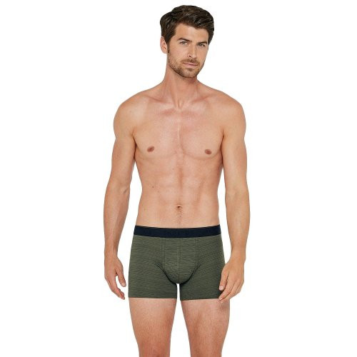 Boxer Impetus Rayas Louet