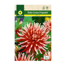 Semillas y bulbos de flor