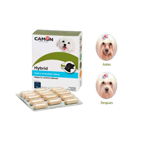 Care Hybrid La Solucion para el Lagrimal