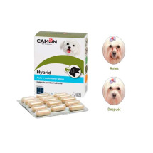 Care Hybrid La Solucion para el Lagrimal