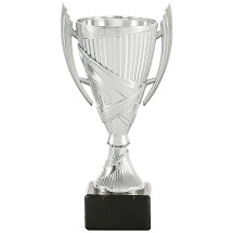 COPA PLATEADA