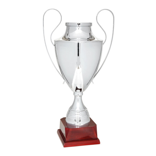 COPA PLATEADA "BIG SIZE"