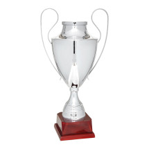 COPA PLATEADA 