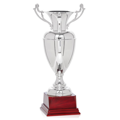 COPA PLATEADA CON ASAS