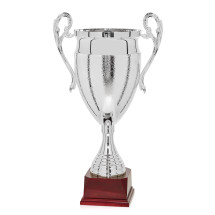 COPA PLATEADA CON ASAS "BIG SIZE"
