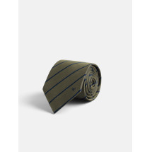 Corbata raya media verde