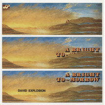 DAVID EXPLOSION - A Bright Tomorrow (LP,RE Acme 1971,2010)