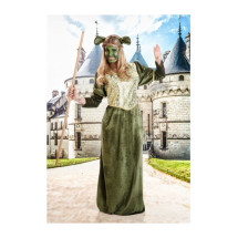 Disfraz de Princesa Fiona Adulto
