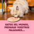 Edgard & Cooper Filetes de pollo y gambas en Caldo lata para gatos