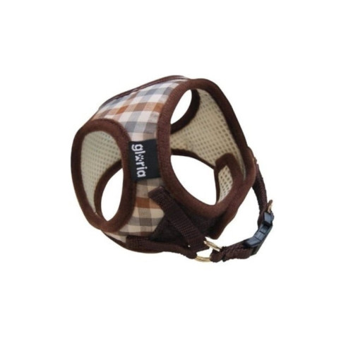 Gloria Arn&eacute;s con Cuadros para perros