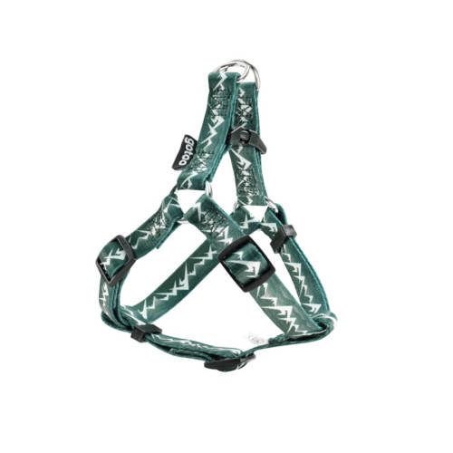 Gotoo Arn&eacute;s estampado verde para perros