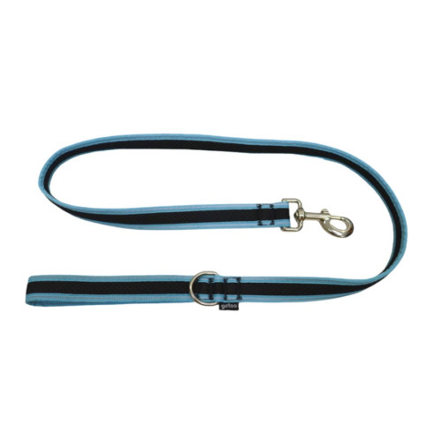 Gotoo Correa reflectante de malla turquesa para perro