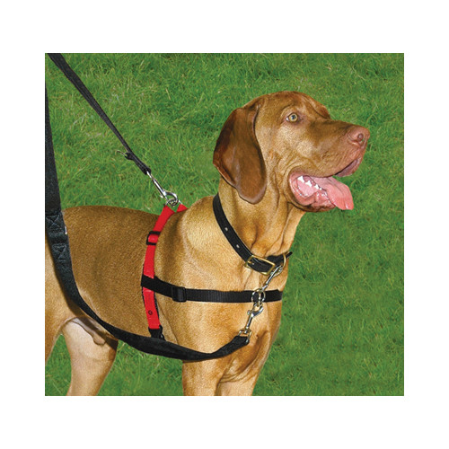 Harnes Halti Front Control Harness para Perros