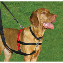 Harnes Halti Front Control Harness para Perros