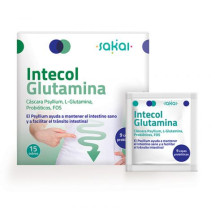 Intecol Glutamina · Sakai · 15 Sobres