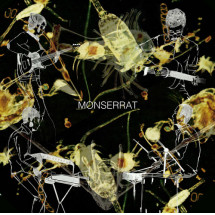 MONSERRAT - Brillar / La Ventana (SG Monserrat 2016)