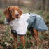 Non-stop Dogwear Chubasquero Impermeable Gris para perros