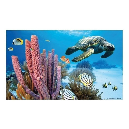 Penn-Plax Fondo Marino para Decoraci&oacute;n de acuarios en 3D