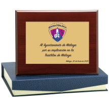 PLACA ALUMINIO DORADA-MEDIDA PEQUEÑA-INCLUYE ESTUCHE