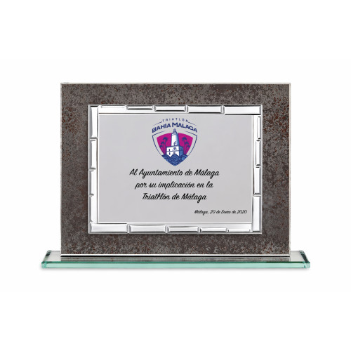 PLACA DE CRISTAL GRIS