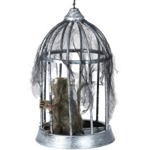 Rata enjaulada