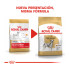 Royal Canin Adult D&aacute;lmata pienso para perros