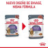 Royal Canin Appetite Control Care salsa sobre para gatos