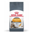 Royal Canin HairySkin pienso para gatos
