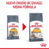 Royal Canin HairySkin pienso para gatos