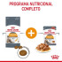 Royal Canin HairySkin pienso para gatos
