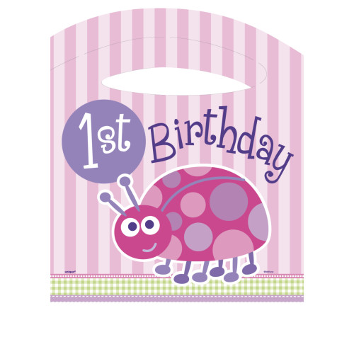 Set de 1&ordm; cumplea&ntilde;os mariquita rosa