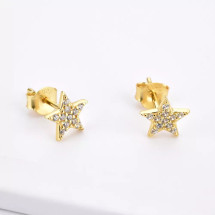 Star Stud Clear