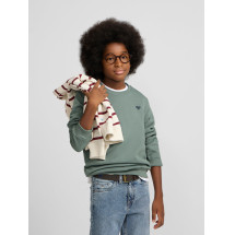 Sudadera kids minilogo verde oscuro