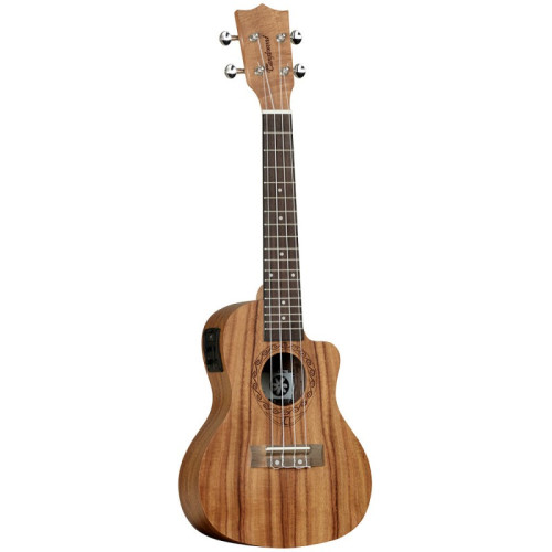 Tanglewood Twt16e