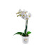 Tiesto orqu&iacute;deas Green Basics Elho Transparente 15 cm