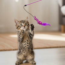 Tootoy! Caña Interactiva con Peluche de Serpiente para gatit...