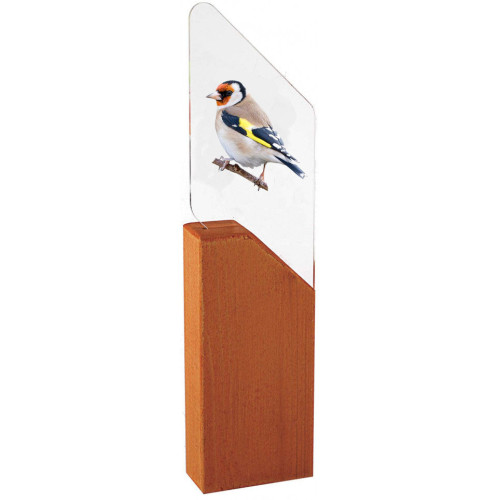 TROFEO P&Aacute;JARO JILGUERO