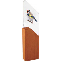 TROFEO PÁJARO JILGUERO