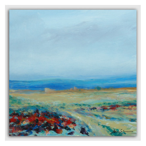 Xavier Galiza - Paisaje