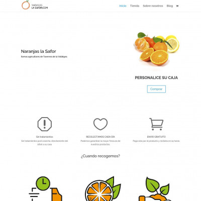 Naranjas La Safor
