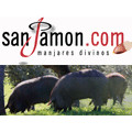 Visitar Sanjamon.Com