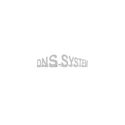 Dns System Tienda Online